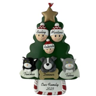 Our Family of Three with Three Pets Christmas Ornament